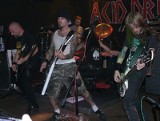 Zabili Mi Żółwia i Acid Drinkers zagrali w stalowowolskim klubie "Labirynt"