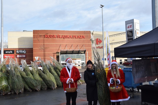 Choinka za surowce wtórne w Ruda Śląska Plaza