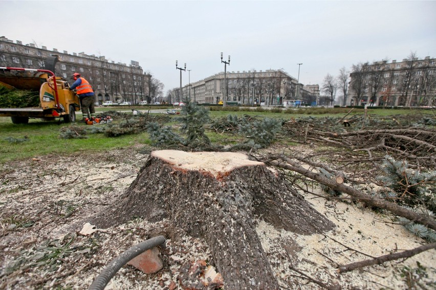 Kraków. Oddamy bramownice w zamian za choinki. Wspólna akcja GK i RMF MAXXX