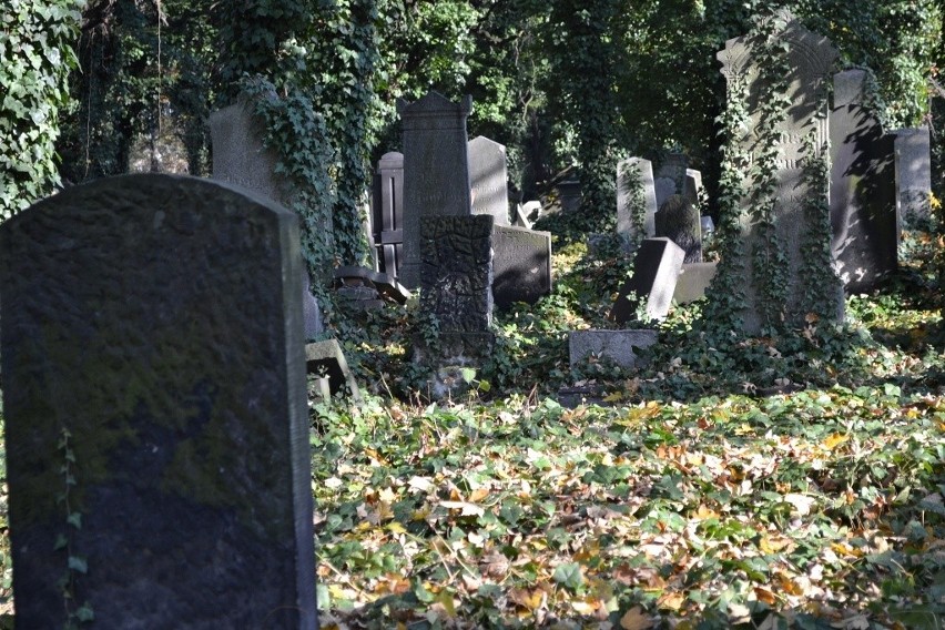 Zabrze: kwesta i zwiedzanie cmentarza żydowskiego [ZDJĘCIA]