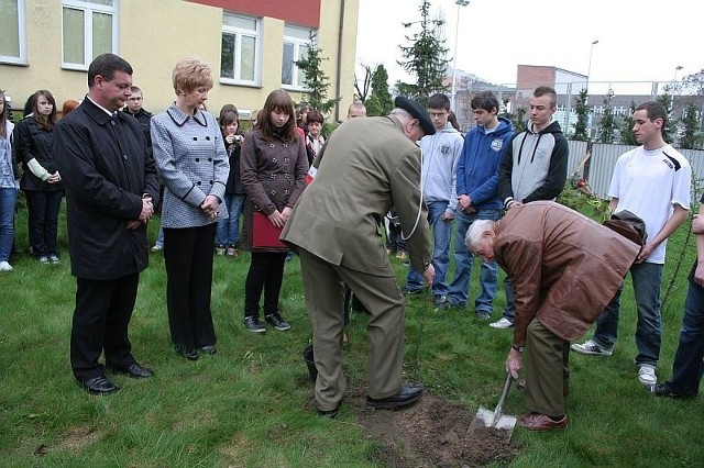 Przy Gimnazjum numer 3 drzewka sadzili członkowie Światowego Związku Żołnierzy Armii Krajowej oraz wiceprezydent Jarosław Kopański.