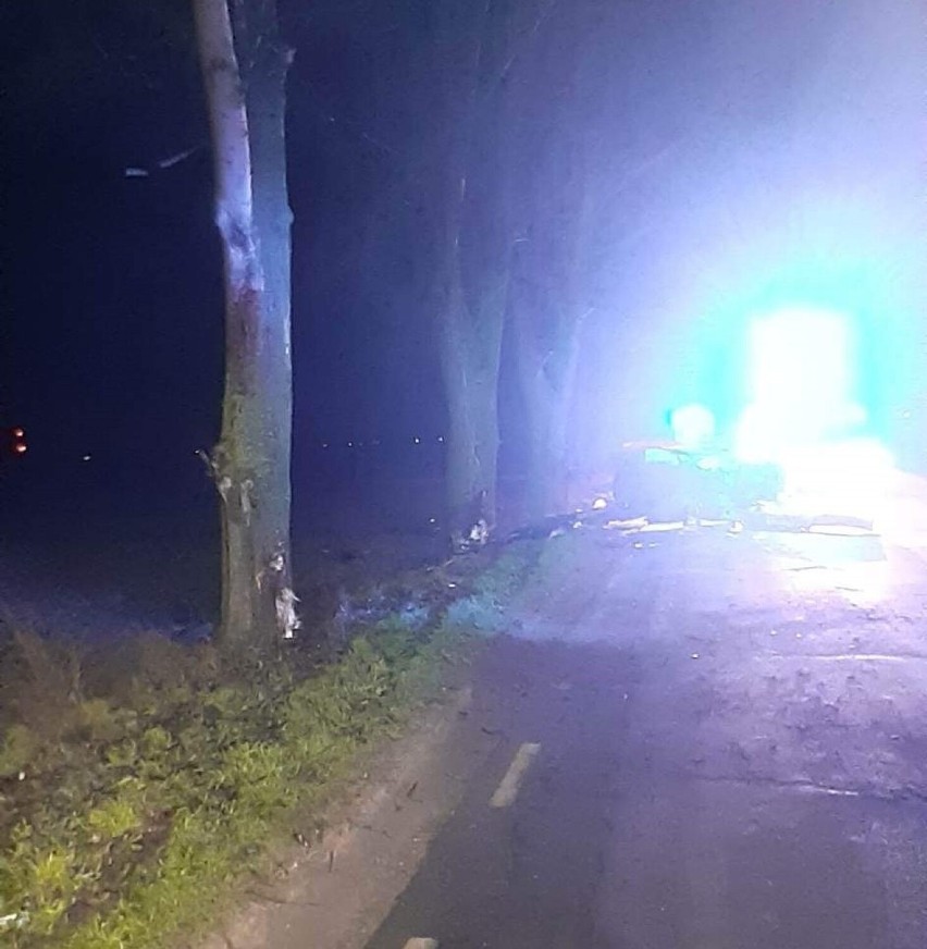 Tragedia w Wielkopolsce. Auto rozbiło się na drzewie. Nie...