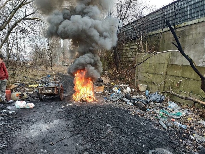 Rzecznik straży miejskiej podkreśla, że było też kilka...