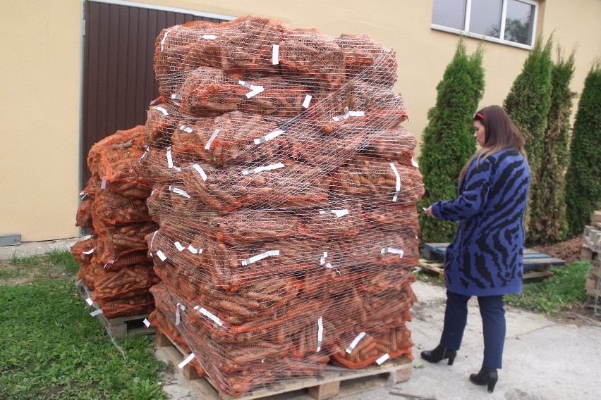 Świętokrzyski Bank Żywności w Ostrowcu zaprasza po żywność