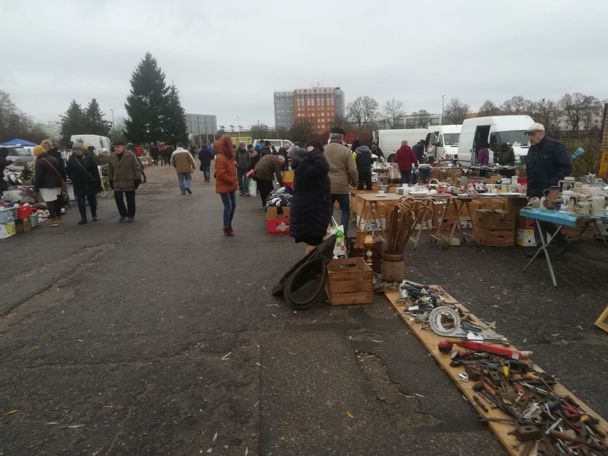 Mimo pochmurnej i wietrznej pogody, wielu mieszkańców miasta...