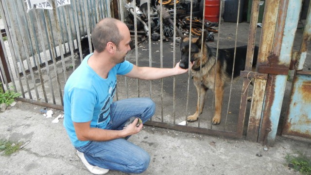 Lucky, choć wygląda groźnie i głośno szczeka, nikomu nie zrobi krzywdy - mówi pan Darek.