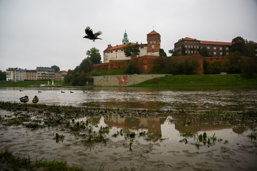 Zalane bulwary wiślane