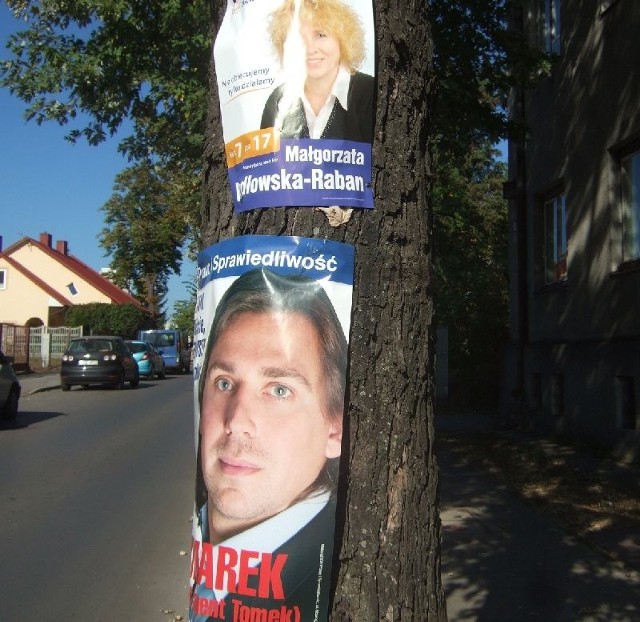 Przy ulicy Siennieńskiej na większości drzew wiszą plakaty dwójki kandydatów. Część jest przyczepiona pinezkami.
