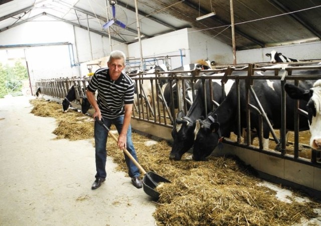 Swoją kwotę mleczną przekroczył m.in. Tadeusz Skrodzki ze wsi Cyprki, pomimo tego, że w trakcie roku kwotowego dokupił mlecznego limitu