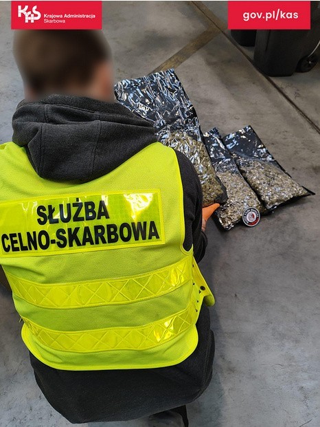 W terminalu cargo lotniska w Pyrzowicach pies Kodi wytropił w przesyłce kurierskiej środki odurzające