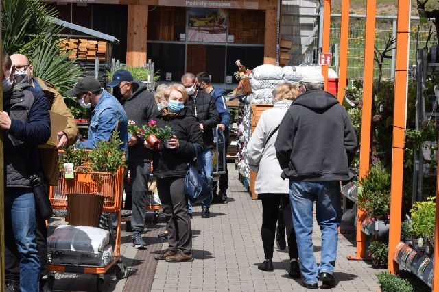 8 maja, w pierwszą sobotę po powrocie marketów budowlanych do handlu, spragnieni zakupów kielczanie ruszyli do sklepów z materiałami do remontowania i budowania oraz ogrodów. Przed OBI, Castoramą, Mrówką czy Bricomarche parkingi były wypełnione do ostatniego miejsca. Od samego rana w sobotę sklepy budowlane były miejscem, gdzie śpieszyło bardzo wielu mieszkańców Kielc. Sklepy pracowały z zachowaniem pełnego reżimu sanitarnego, więc wizyta w nich odbywała się w maseczkach ochronnych. Klienci robili duże zakupy.   Na kolejnych slajdach zobacz sobotni ruch w marketach budowlanych >>>   