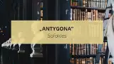 „Antygona” Sofoklesa. Streszczenie, motywy, konteksty, notatki i test z lektury obowiązkowej. Co to jest hybris?