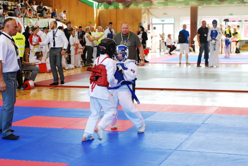 Puchar Śląska karate kyokushin w Rudzie Śląskiej