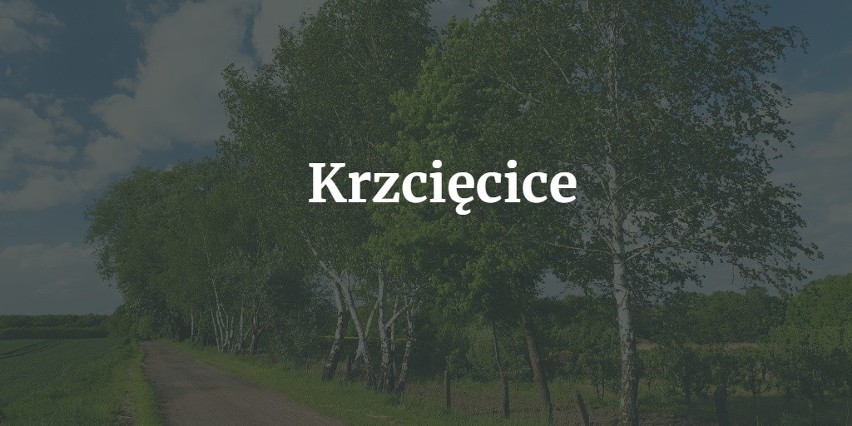 Krzcięcice to wieś w województwie świętokrzyskim. Swoją...