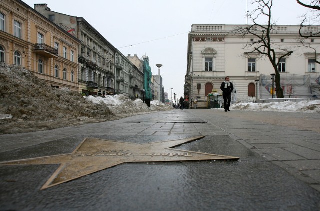 Demontaż alei rozpocznie się w poniedziałek