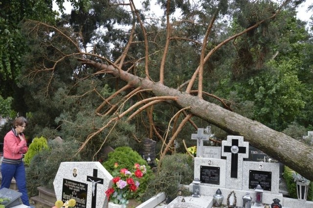 Spustoszone Mikołajki Pomorskie i okolicy po nawałnicy, która przeszła przez powiat sztumski w czwartek 13.06.2019