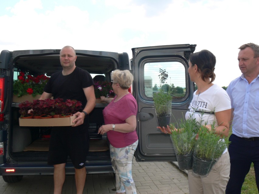 Kwiatowy prezent przyjechał do Domów dla Dzieci i Młodzieży w Łoniowie. Otoczenie czterech domków będzie tonęło w kwiatach [ZDJĘCIA] 