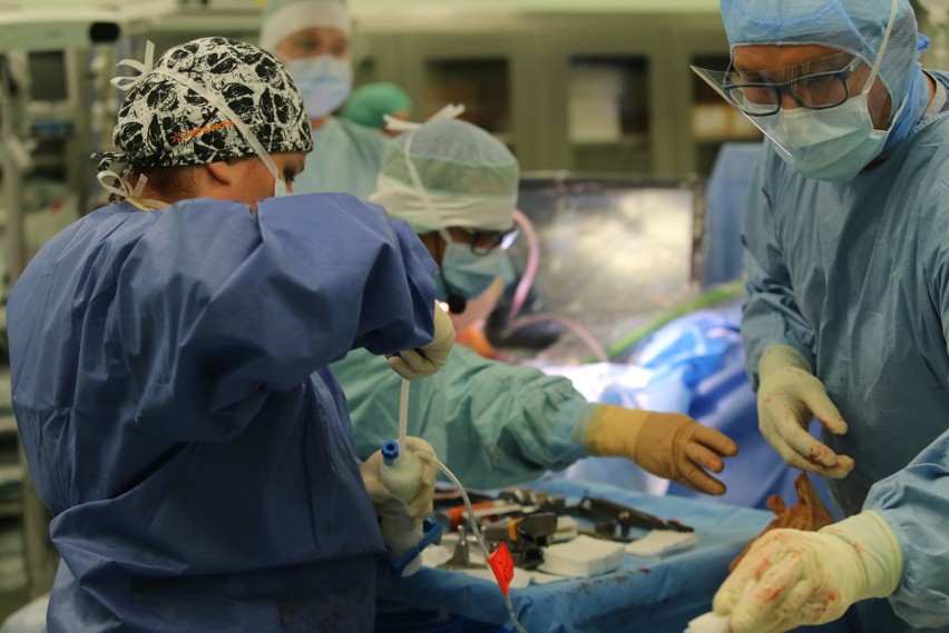 Spektakularna operacja kolana w Klinice Nieborowice. Wykonał ją robot. Pomógł wymienić staw kolanowy z niezwykłą precyzją