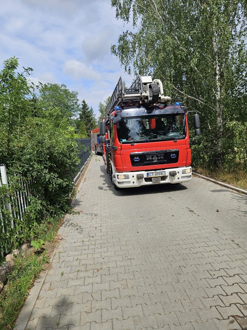Toruńscy strażacy uczestniczyli we wtorek (25.07) w akcji...