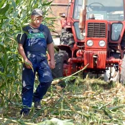 - Szacujący starty jakby nie widział części zniszczonych upraw w środku pola - dziwi się rolnik Bartosz Andruszewski.