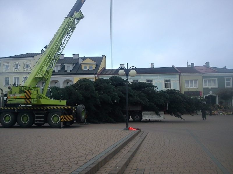 Choinka jak marzenie stanęła w centrum Tarnobrzega (zdjęcia)