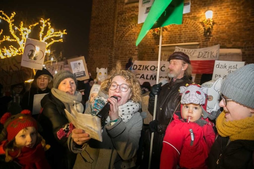 Kraków. "Dziki" na Rynku Głównym? To protest przeciwko masowym polowaniom [ZDJĘCIA]