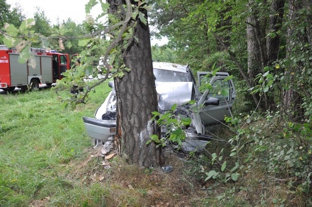 W wyniku zdarzenia rodzice i trójka dzieci w wieku 13,10 i 7 lat z obrażeniami ciała zostali przewiezieni do szpitala w Wyszkowie. Okoliczności, w jakich doszło do tego wypadku, wyjaśniają policjanci wyszkowskiego wydziału kryminalnego