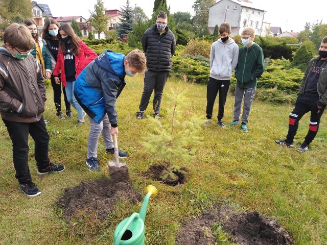 Szkoła Podstawowa w Tarnawie dołączyła do Międzynarodowego Święta Drzewa.