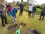 Szkoła Podstawowa w Tarnawie świętowała Światowy Dzień Drzewa. Z tej okazji posadzono drzewko [ZDJĘCIA]