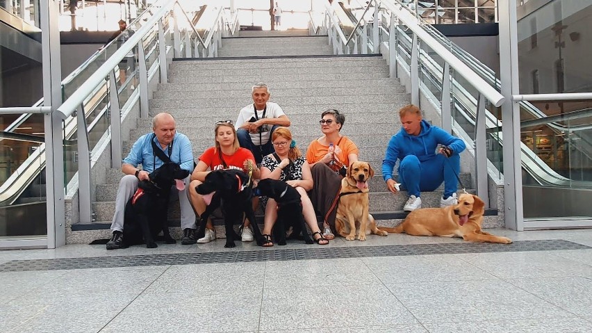 Psy asystujące są szkolone w Łodzi. Leila, JJ i Lori nauczą się jak pomagać osobom niewidomym. Będą ich przewodnikami