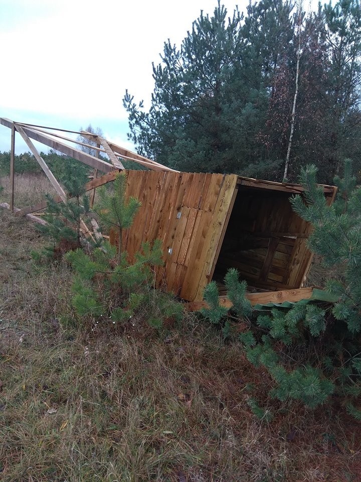 Koło Łowieckie Słonka w Miastku zawiadomiło Komendę Główną...