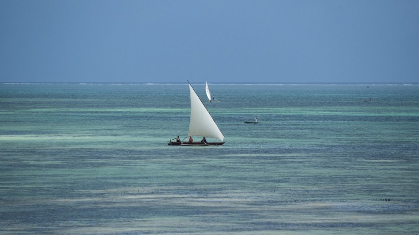 Zanzibar, bo o nim mowa, bardzo szybko dostosował się do...