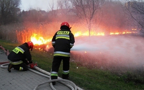 Wysokość płomieni dochodziła do 5 metrów, a w sąsiedztwie...