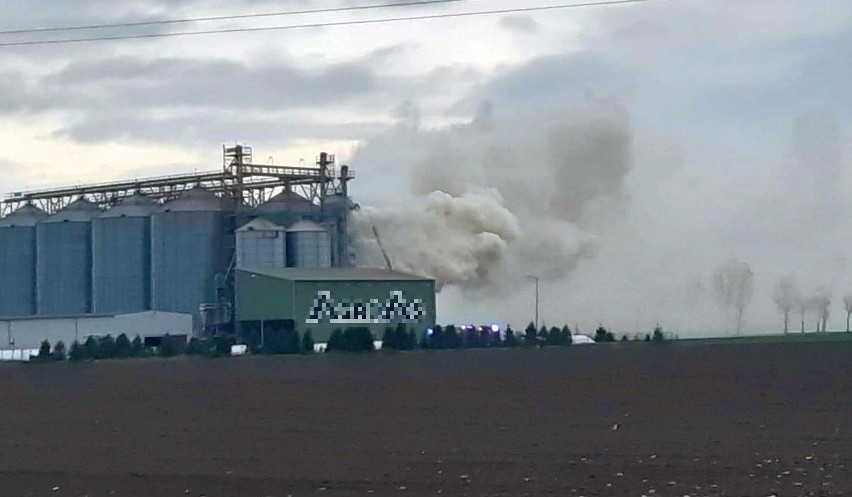 Wielki pożar w firmie Agro-As w Nowej Wsi Małej w powiecie brzeskim. Z ogniem walczy 9 zastępów straży pożarnej