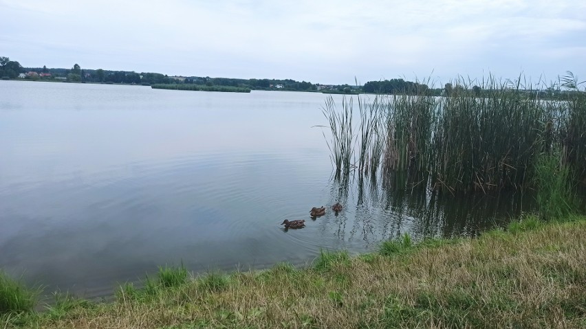 Zalew w Kraśniku. Tu jest pięknie niezależnie od pogody! Zobacz zdjęcia ze spaceru