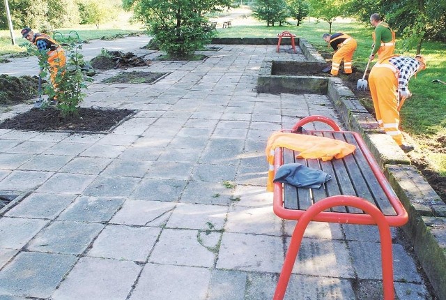 Koszalinianie będą mieli już za kilka dni szeroką i oczyszczoną z trawy promenadę, po której popołudniowy spacer będzie prawdziwą przyjemnością.