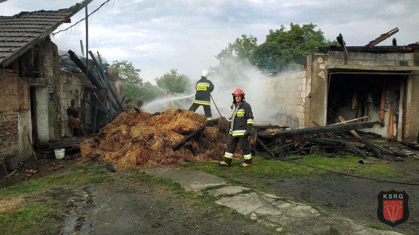 Strażacy ewakuowali zwierzęta z palącego się budynku gospodarczego w Graboszycach