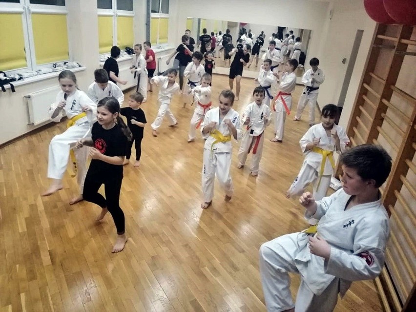 Akademia Kyokushin – rozwijamy ciało i ducha