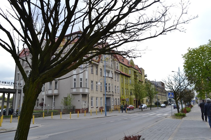 Wymienią drzewa, przeniosą donice na ulicy Kościuszki w Rybniku