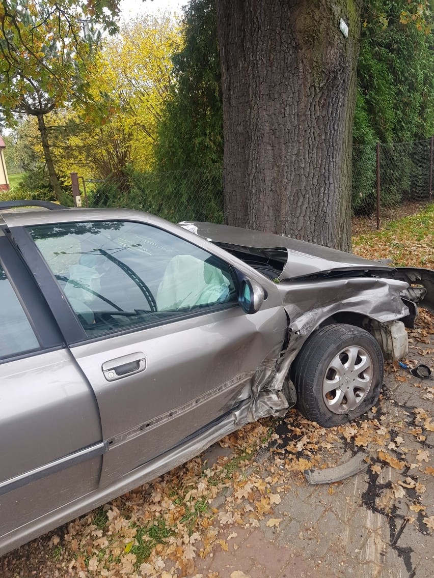 Wojnicz. Wypadek forda z peugeotem na ulicy Krakowskiej. Jeden z samochodów zatrzymał się na przydrożnym drzewie [ZDJĘCIA]