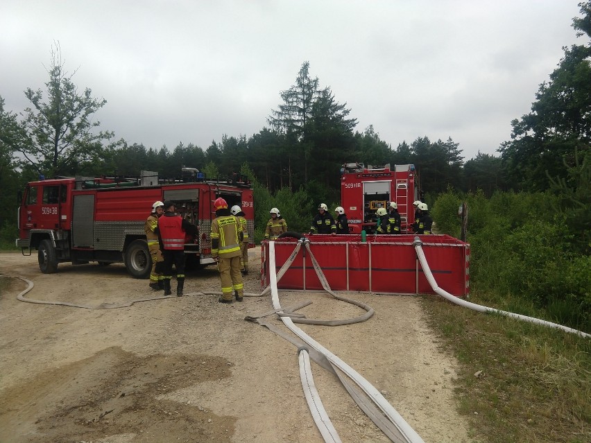 Strażacy z powiatu lublinieckiego ćwiczyli w leśnictwie...