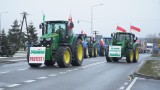 Rolnicy strajkowali na DK 78 w Szczekocinach. Nie będę grabarzem polskiej wsi, wołał Jacek Soska, były minister rolnictwa. WIDEO i ZDJĘCIA