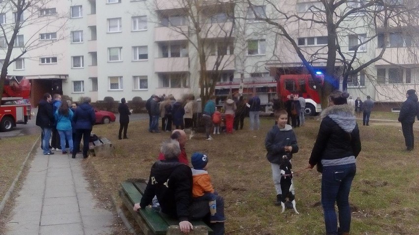 Pożar w wieżowcu w Jaworznie