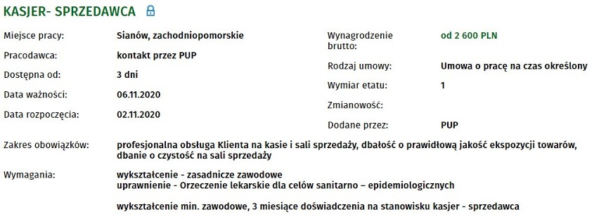 Nowe oferty pracy w Koszalinie. Sprawdź szczegóły, zarobki, warunki 