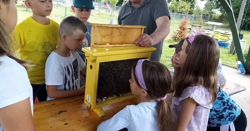 Na jarmarku 8 sierpnia pszczelarze nie tylko będą sprzedawać...