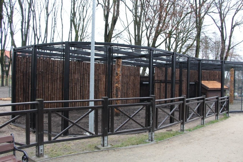 Białystok. Kolejny etap modernizacji zoo zakończony (zdjęcia, wideo)
