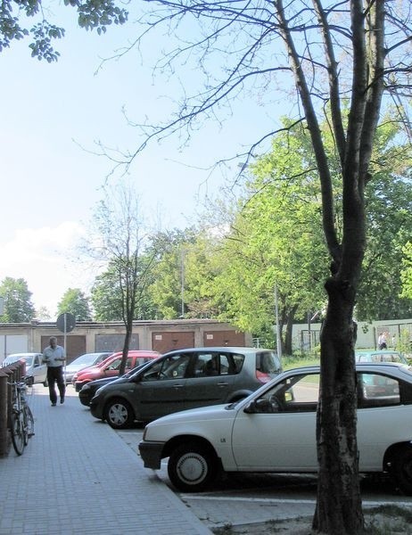 - Po naszej interwencji naczelnik Urzędu Skarbowego w Tarnobrzegu zainteresował się rosnącymi przed budynkiem drzewami i zapewnił, że zostaną otoczone opieką.