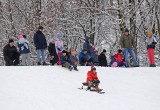 Zima w Parku Kościuszki w Katowicach. Dzieci szaleją na sankach. Zabawa na całego!