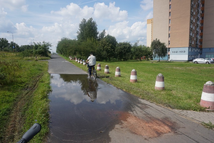 Poznań: Tragiczny wypadek na ścieżce rowerowej