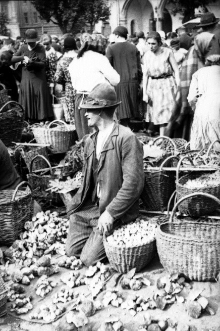 Kraków. Rynek Główny pełen grzybów. Tak handlowano skarbami lasu [ARCHIWALNE ZDJĘCIA]